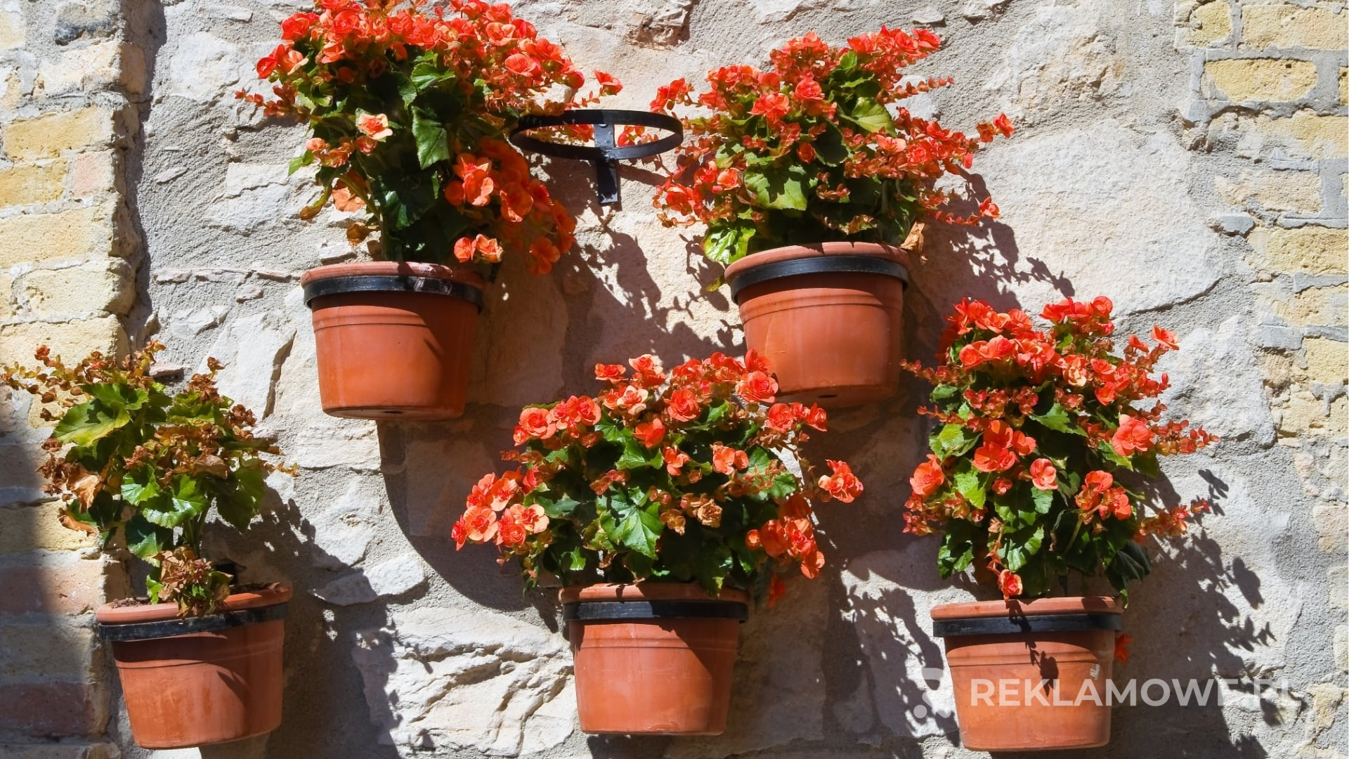 Klapki reklamowe na tle umowy